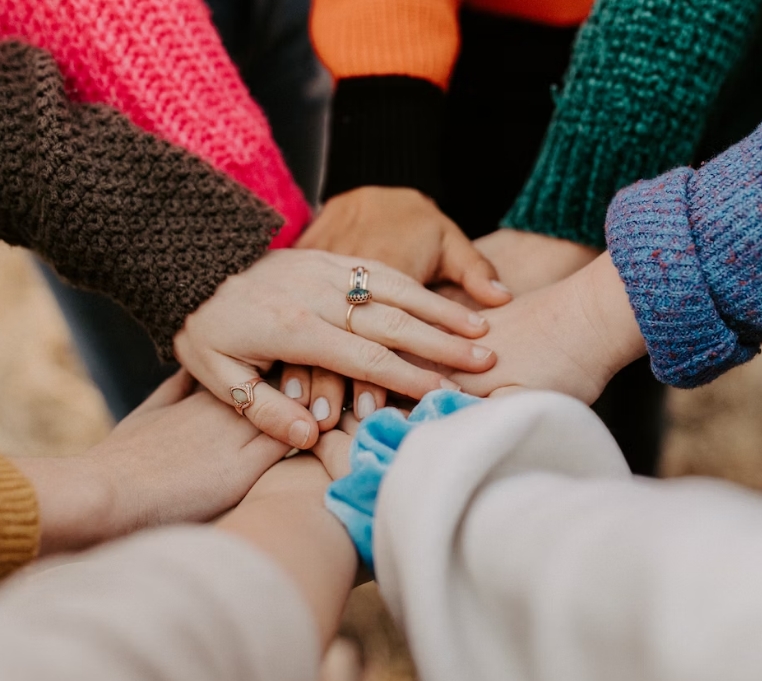 InPetto_Team InPetto Team