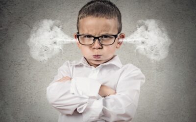 InPetto - Nieuws Een vol hoofd